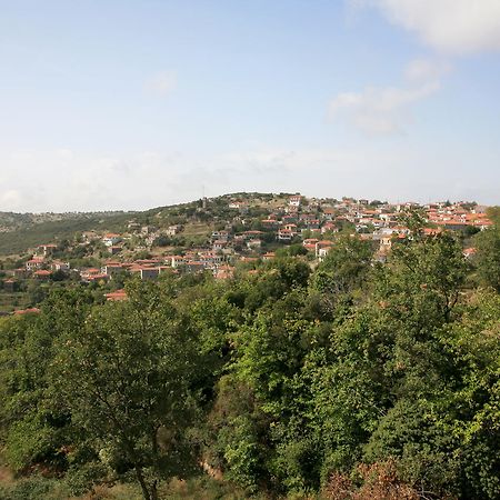Arhontiko Parnona Otel Karyes Dış mekan fotoğraf