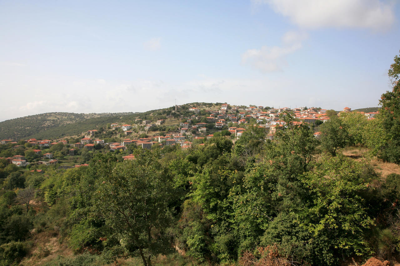 Arhontiko Parnona Otel Karyes Dış mekan fotoğraf