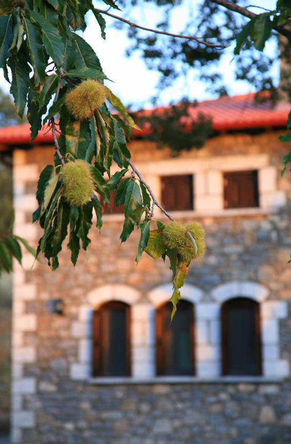 Arhontiko Parnona Otel Karyes Dış mekan fotoğraf