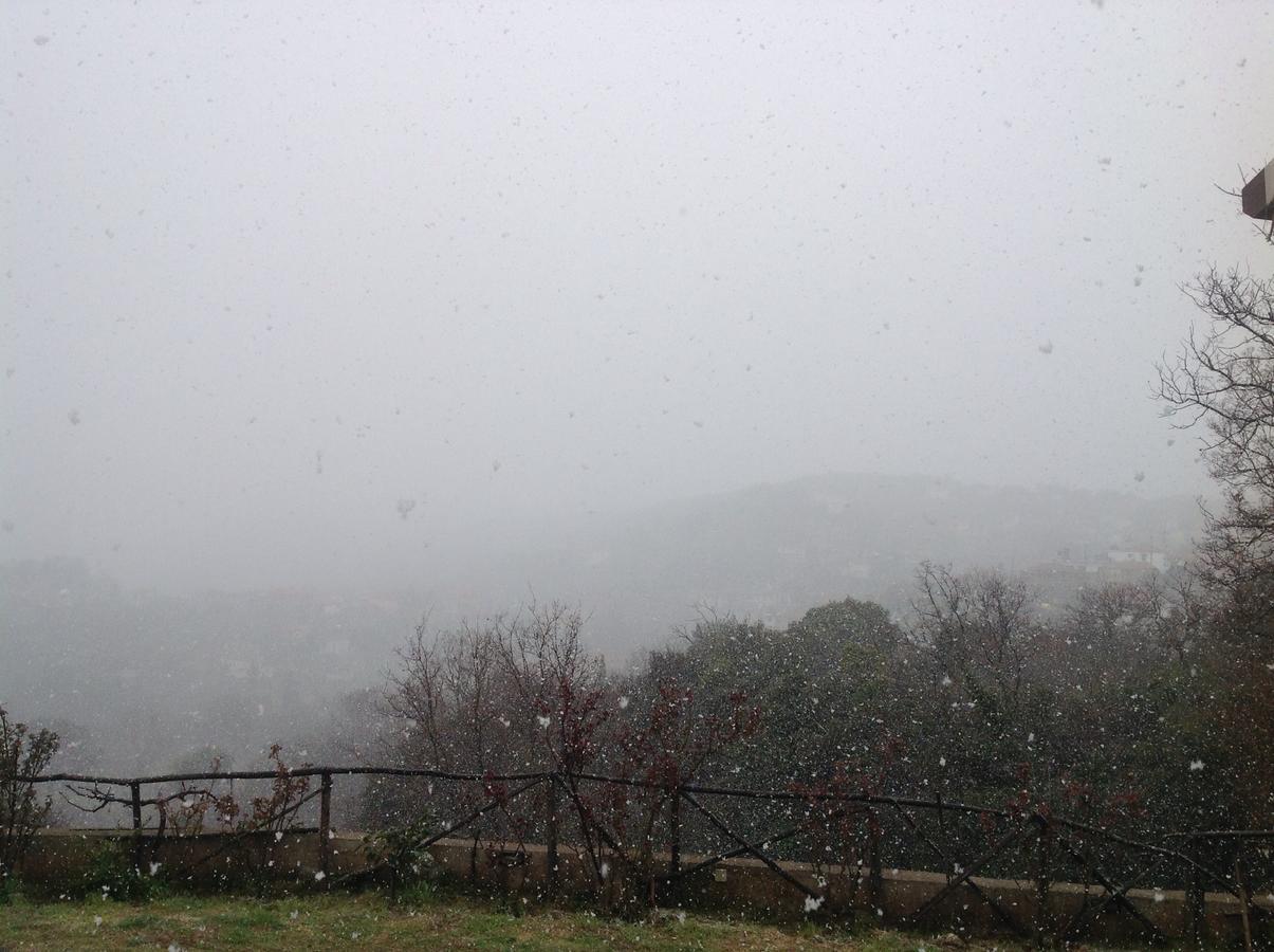Arhontiko Parnona Otel Karyes Dış mekan fotoğraf