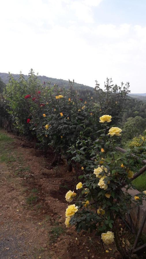 Arhontiko Parnona Otel Karyes Dış mekan fotoğraf